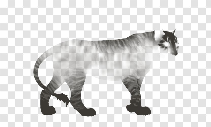 Tiger Whiskers Cat Lion Cougar - White Transparent PNG