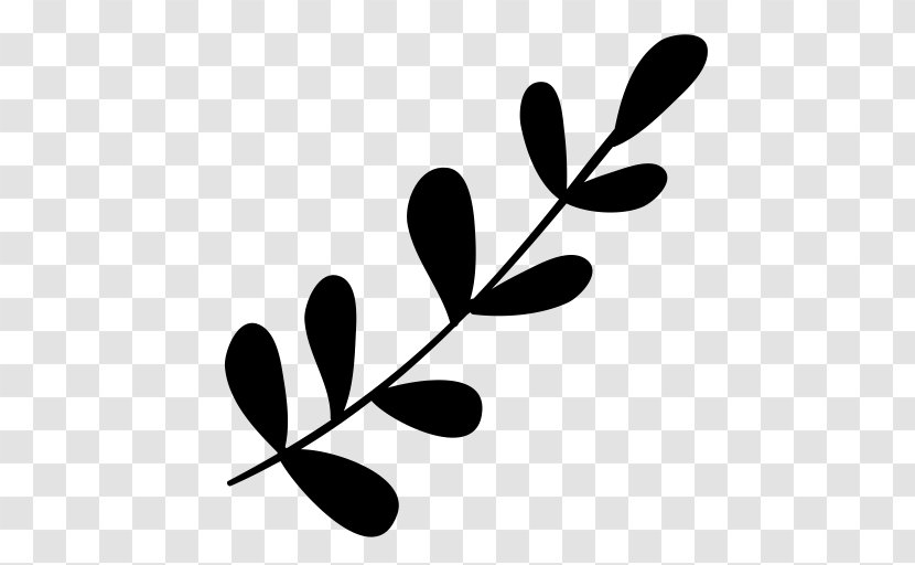 Twig Leaf Clip Art - Woody Plant Transparent PNG