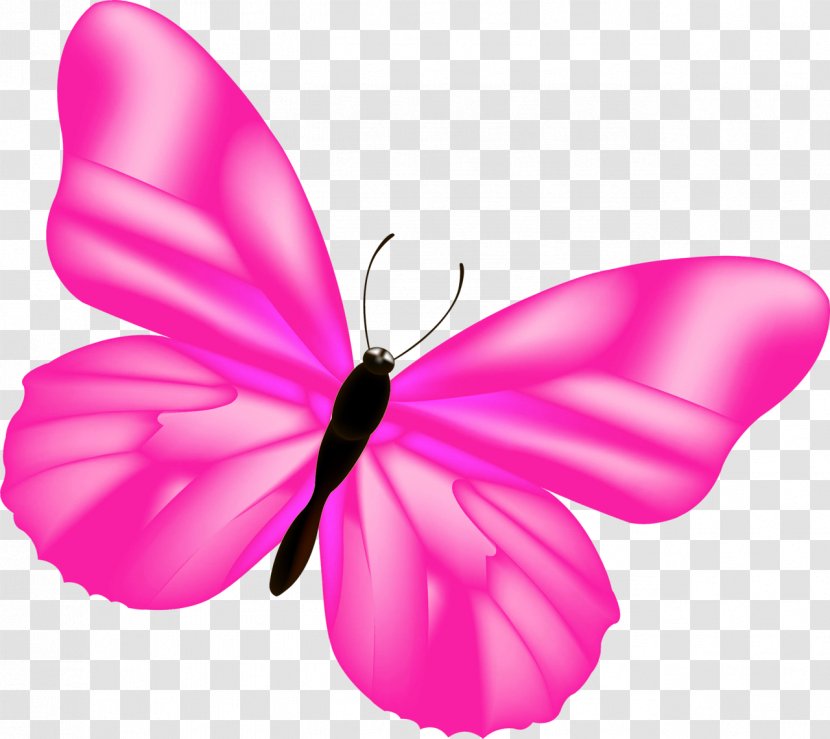 Butterfly Birthday Author Galactic Waltz Pin - Butterflies And Moths - Pink Transparent PNG