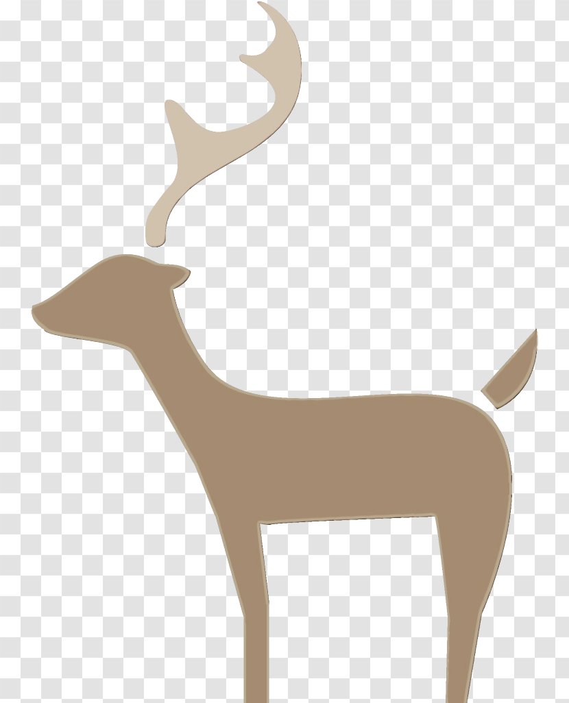 Reindeer - Tail - Fawn Transparent PNG