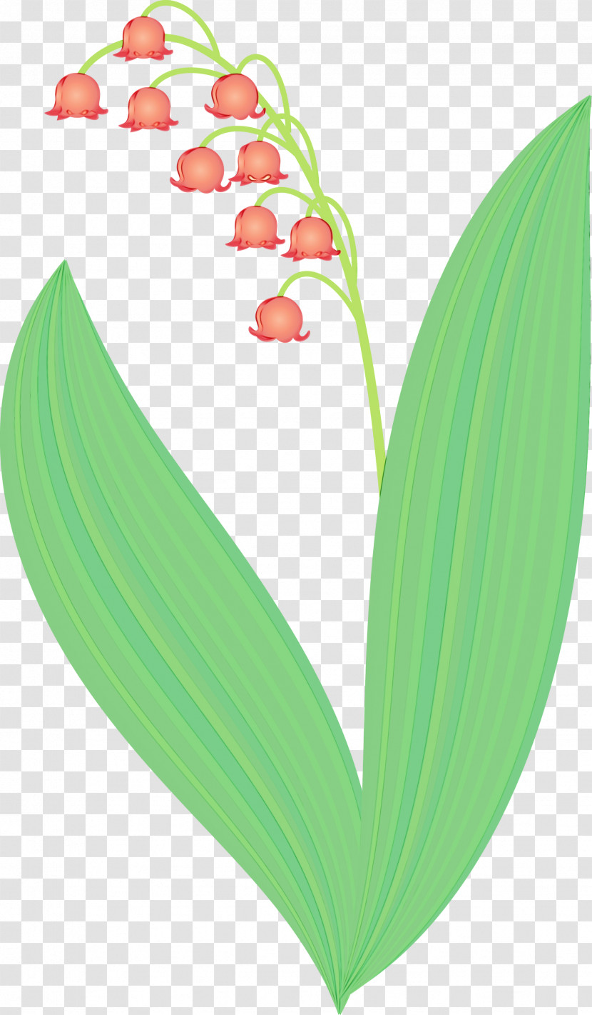 Lily Of The Valley Flower Leaf Plant Heart Transparent PNG
