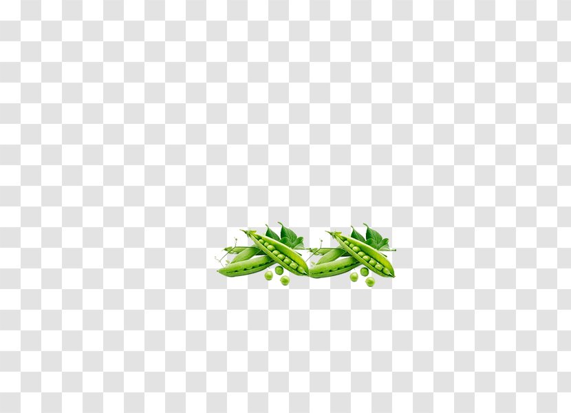 Organic Food Green Vegetable Pea - Vegetables Image Transparent PNG