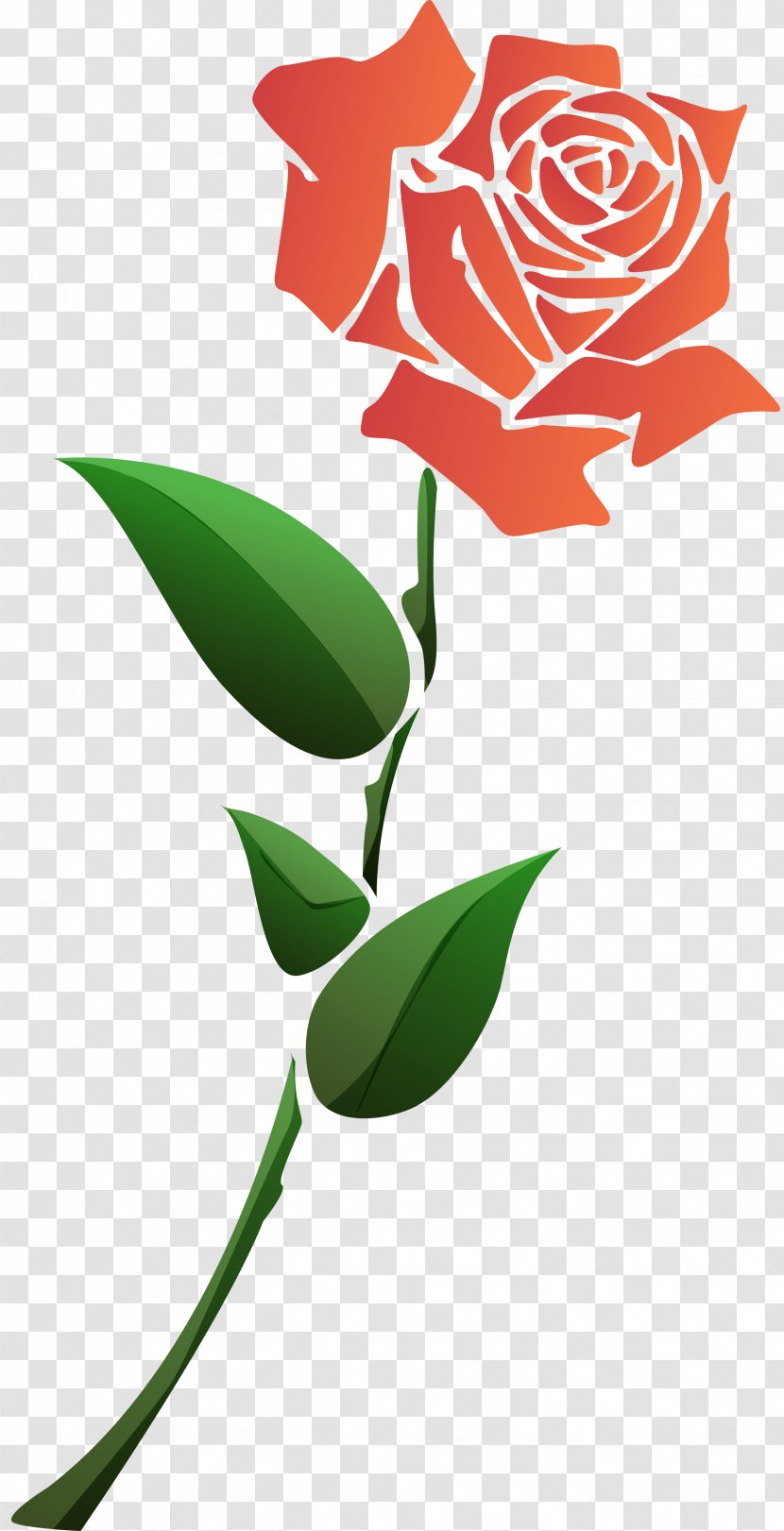 Flower Garden Roses Animation Clip Art - Flowering Plant - White Rose Transparent PNG