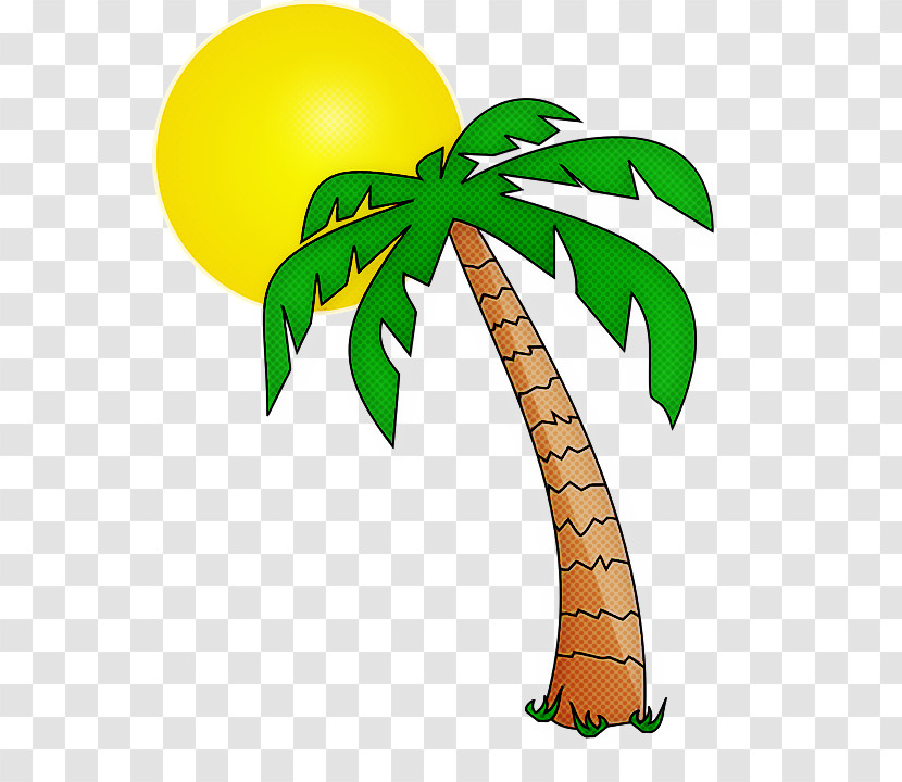 Palm Trees Transparent PNG