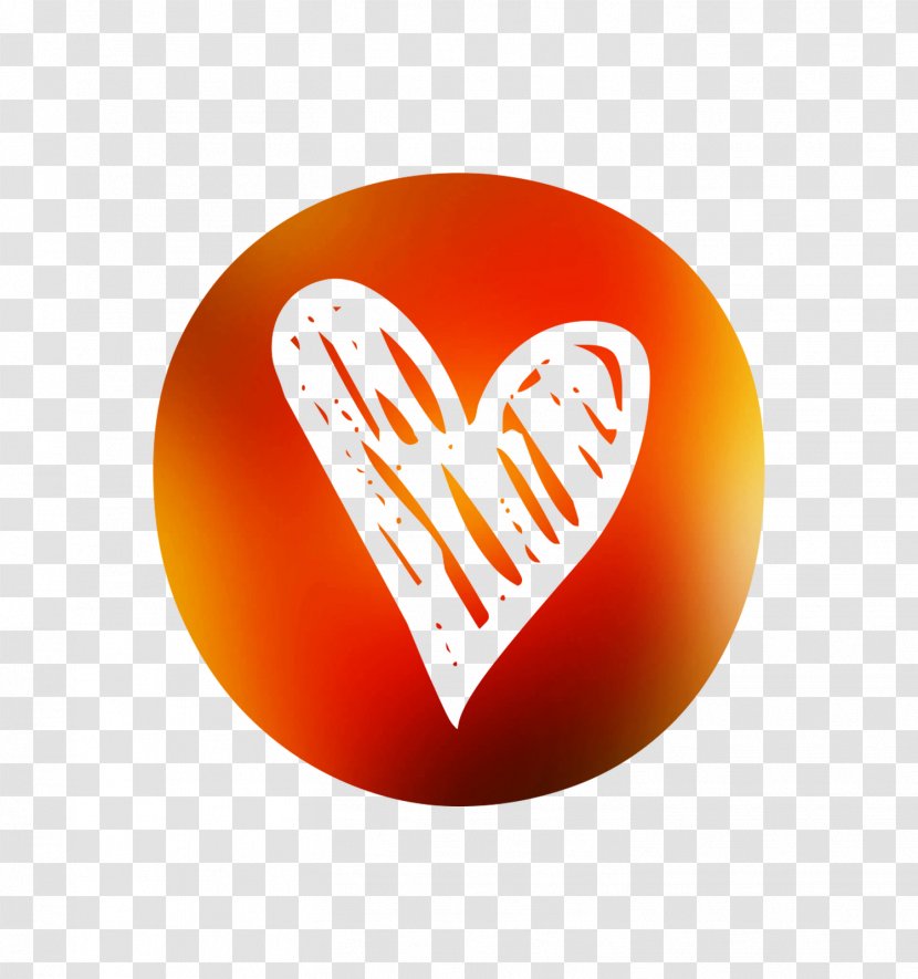Logo Font Product Love My Life Transparent PNG