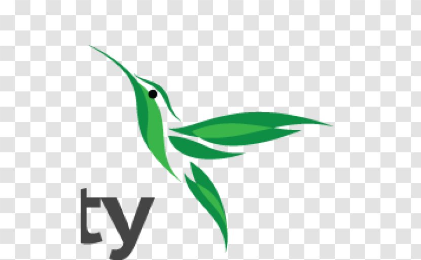 Aesthetics Logo Colibri Beauty Definition - Hummingbird Transparent PNG