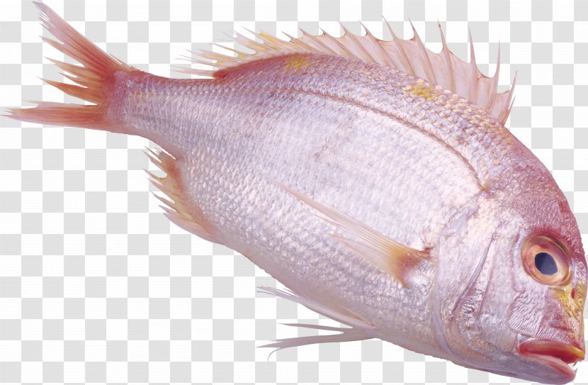 Fish Bream - Food Transparent PNG
