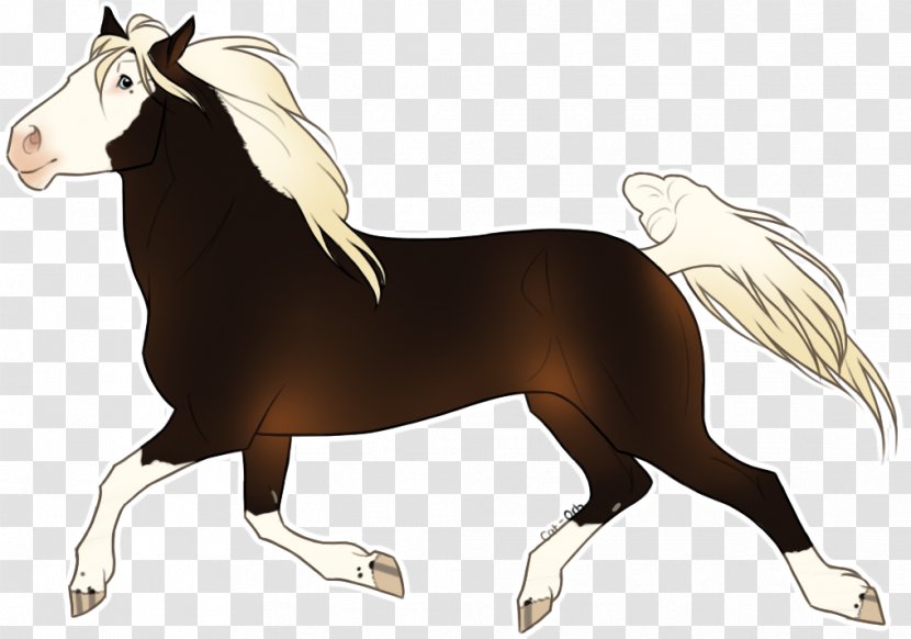 Mane Foal Stallion Mustang Mare - Horse Supplies Transparent PNG