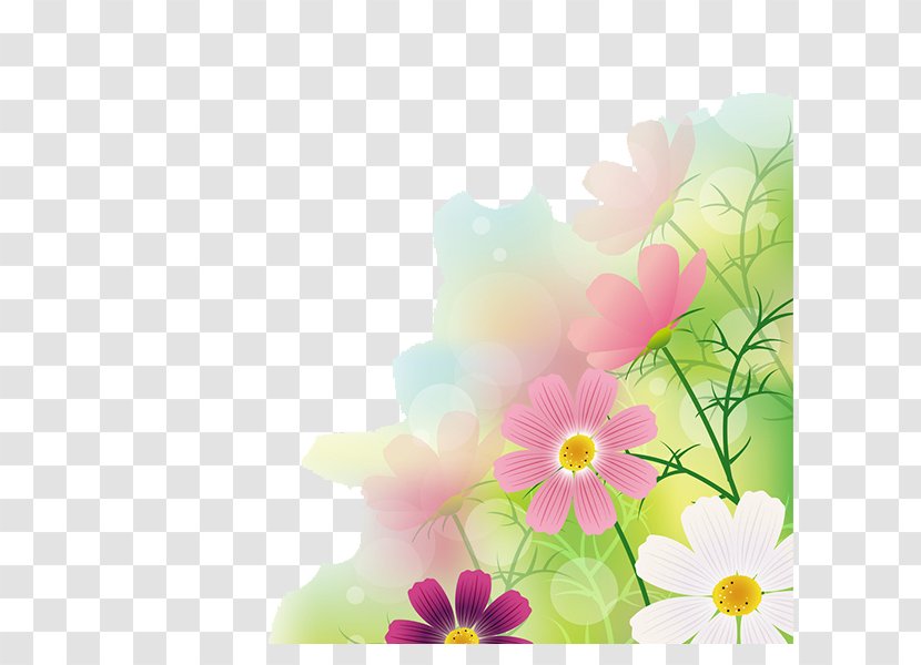 Cosmos Bipinnatus Photography Illustration - Garden - Floral Background Transparent PNG