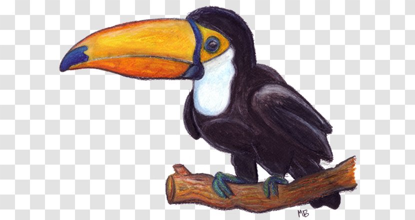 Toucan Drawing Watercolor Painting Pencil Sketch - Cartoon Transparent PNG