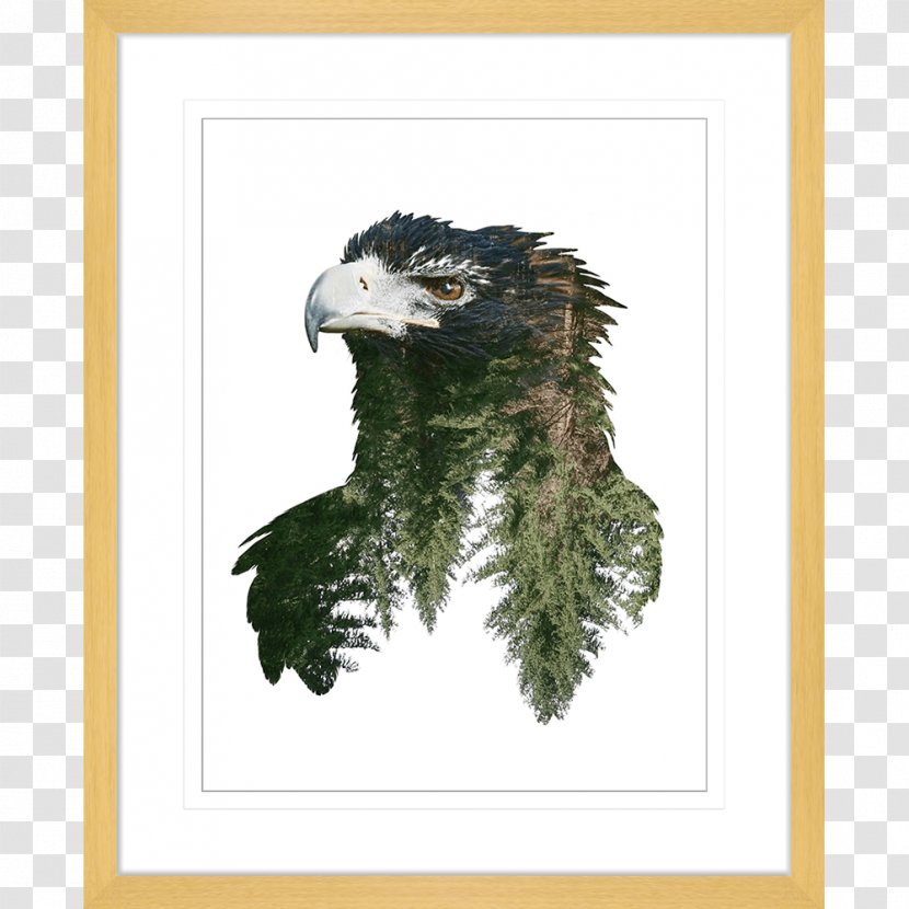 Multiple Exposure Portrait Photography Royalty-free - Beak - Double Effects Transparent PNG