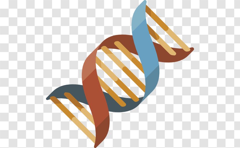 Genetics DNA Clip Art - User - 421 Transparent PNG