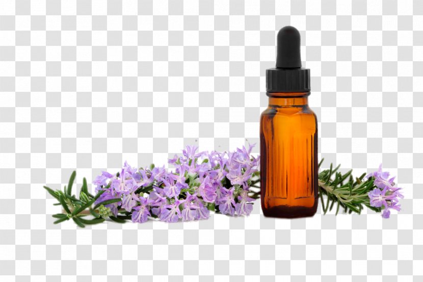 Essential Oil Lavender Aroma Compound Aromatherapy - Extract - SPA Transparent PNG