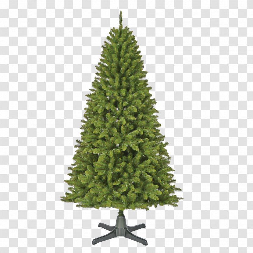 Christmas Tree - Shortleaf Black Spruce - Lodgepole Pine Transparent PNG
