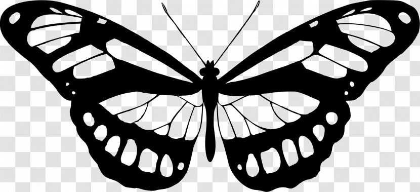 Ulysses Butterfly Insect Clip Art - Pollinator Transparent PNG