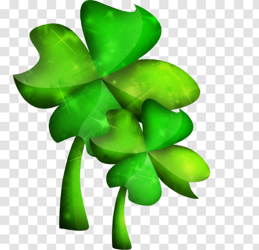 Leaf Shamrock Green Plant Stem Petal Transparent PNG