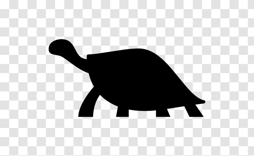 Erboristeria Dott.Pietra Via Mazzini Pubblica Assistenza CROCE D'ORO Cairoli La BotteGaia - Tortoise - Silhouette Transparent PNG