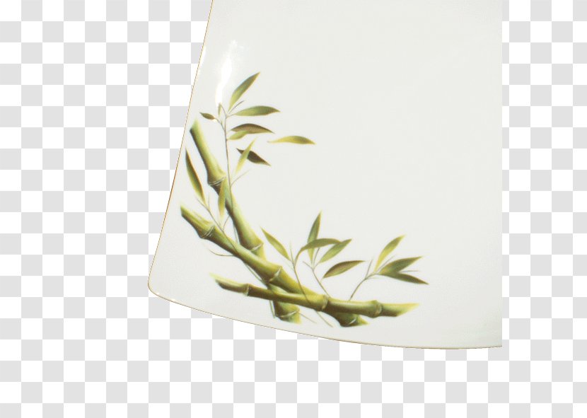 Flowerpot - Bambou Transparent PNG