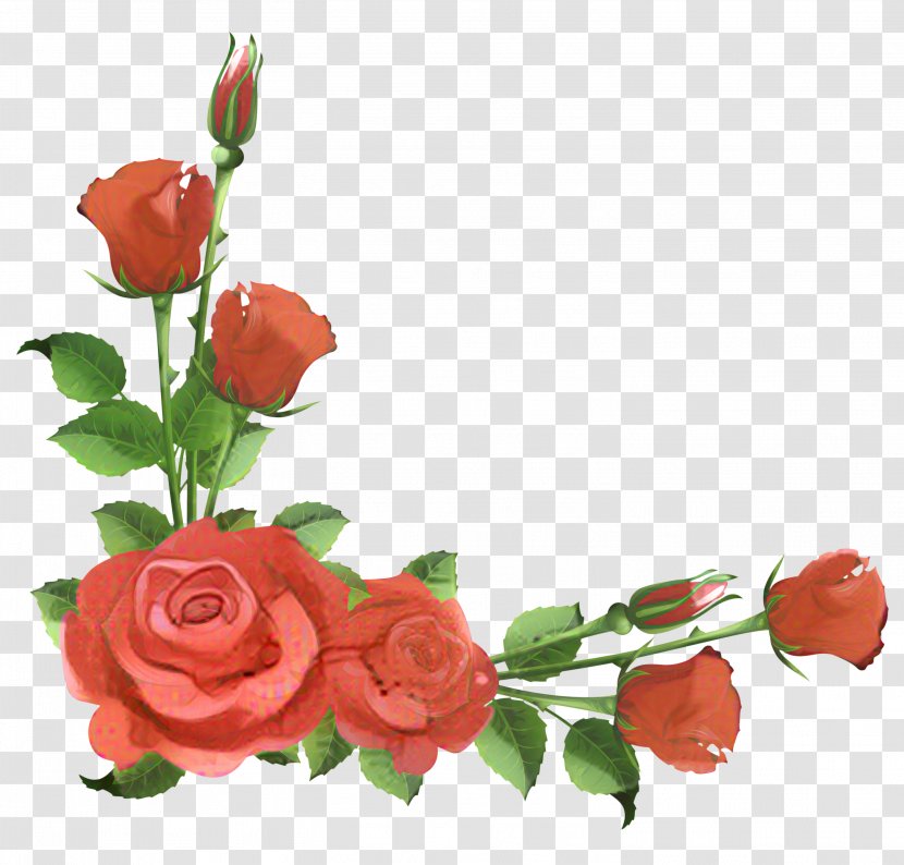 Rose Clip Art Flower Image - Flowering Plant Transparent PNG