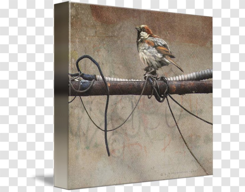 House Sparrow Bird Wire Art - Electrical Network Transparent PNG