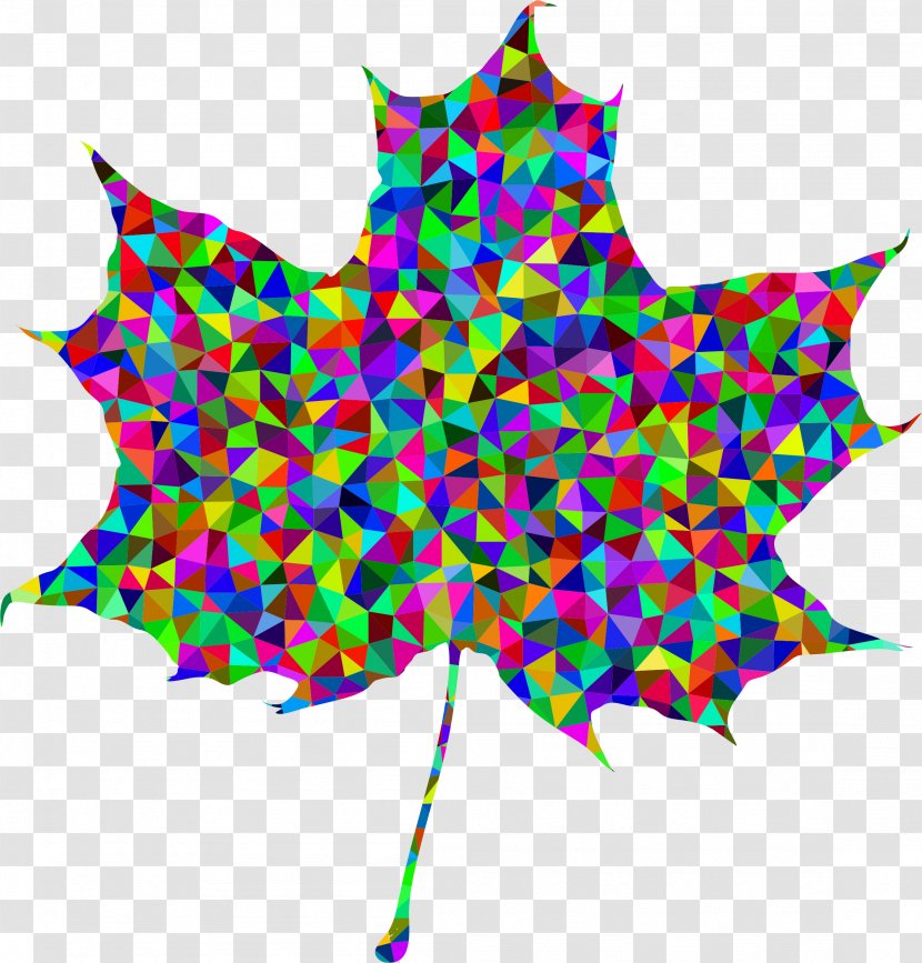 Human Brain Clip Art - Point - Maple Leaf Transparent PNG