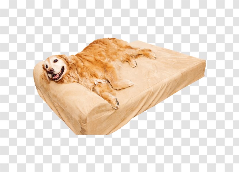Sporting Group Dog Snout Pet Bed - Customer Transparent PNG