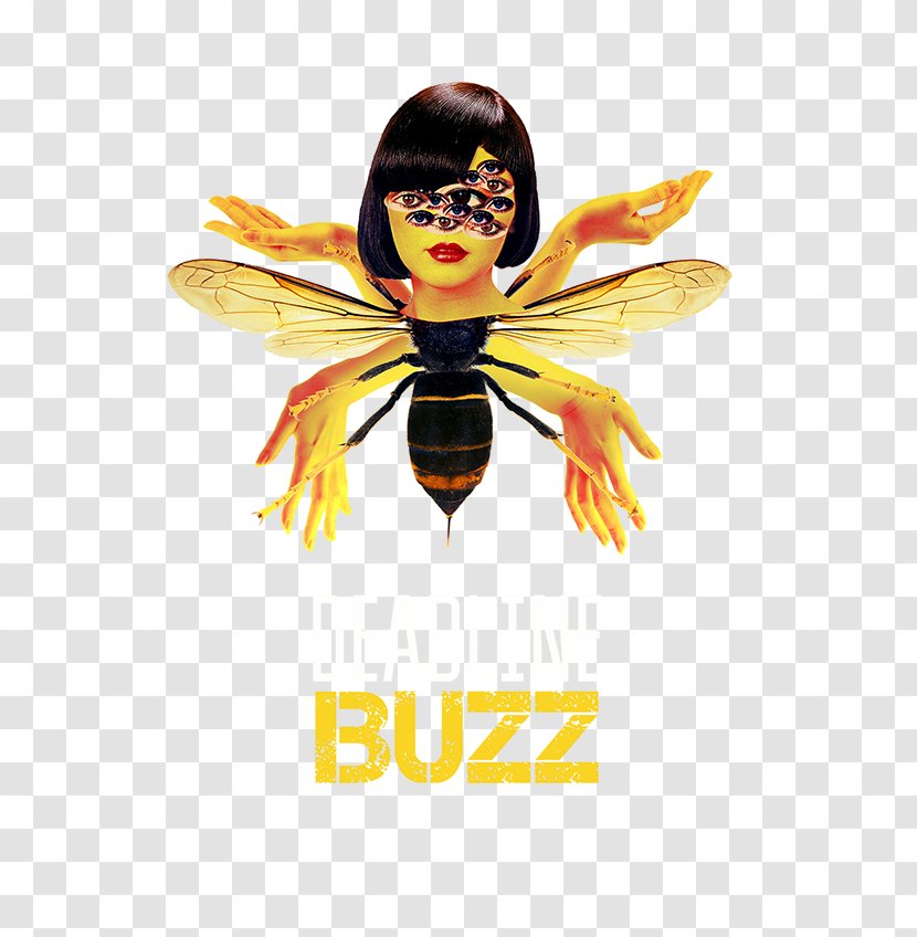 Bee Burrito Bande Graphics Illustration Fairy - Fictional Character Transparent PNG