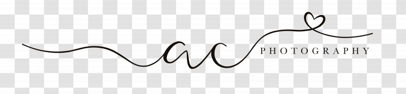 Logo Calligraphy Handwriting Font - Tree - Photographer Transparent PNG