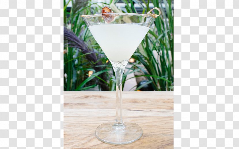 Cocktail Garnish Martini Gin Vodka - Bitters - Mojito Transparent PNG