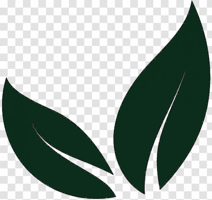 Clip Art Leaf Logo Product Design Line - Plant - Green Transparent PNG