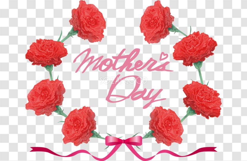 Carnation Mother's Day - Floral Design Transparent PNG