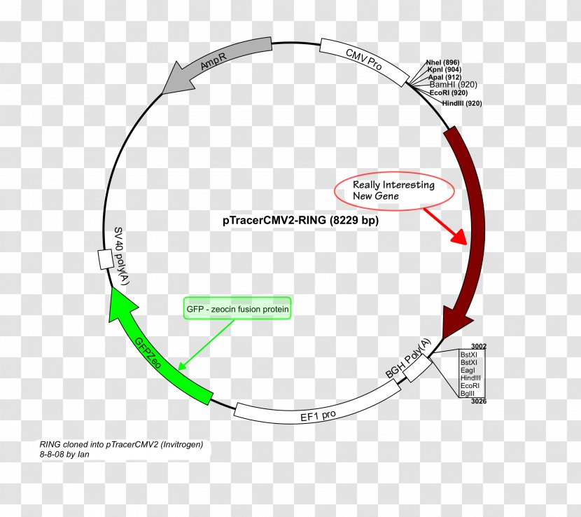 Car Circle Point Angle - Cable Transparent PNG