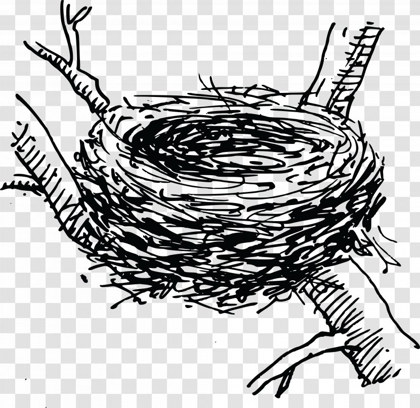 Bird Nest Clip Art - Cartoon Transparent PNG