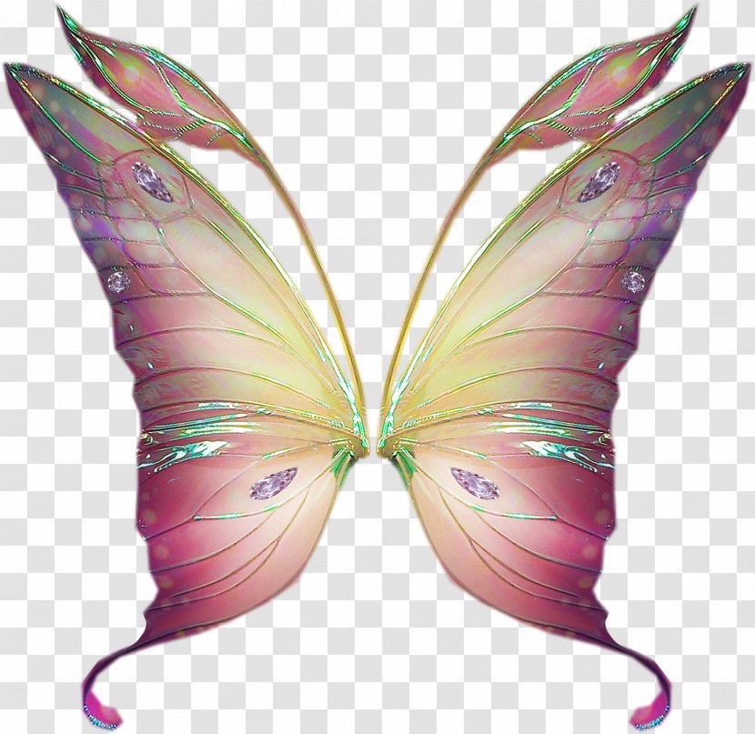 .net .com Forumactif Moth PlayStation Portable - Fictional Character - Butterflies Transparent PNG