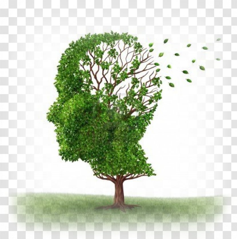 Short-term Memory Amnesia Alzheimer's Disease Long-term - Longterm Transparent PNG