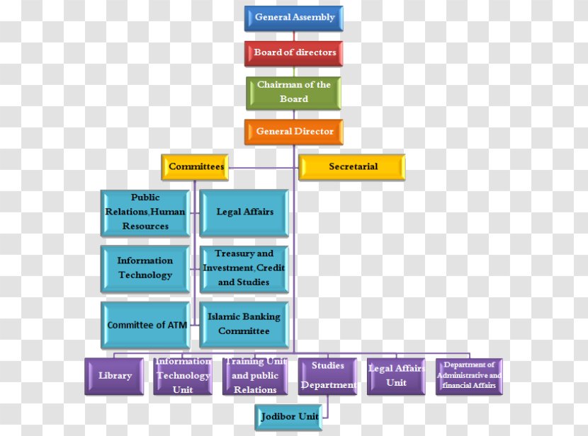 Organizational Structure Bank Board Of Directors Voluntary Association Transparent PNG