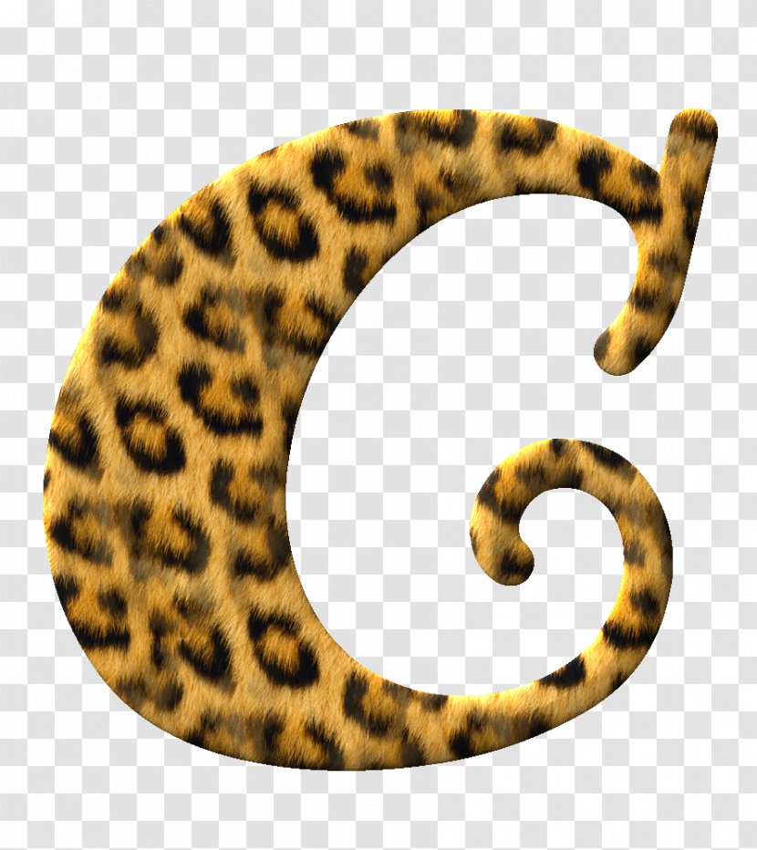 Jaguar Alphabet Letter M Font - Cat Like Mammal Transparent PNG