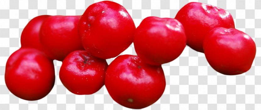 Cranberry - Malpighia - Cranberries Transparent PNG