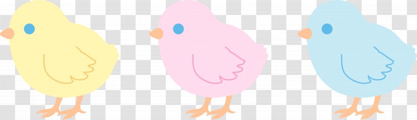 Chicken Cuteness Clip Art - Cartoon - Chick Transparent PNG