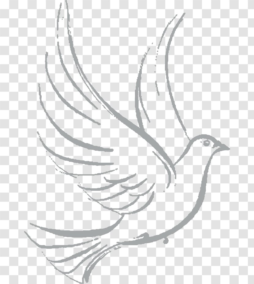 Columbidae Drawing Doves As Symbols Sketch - Fictional Character - Colombe Transparent PNG