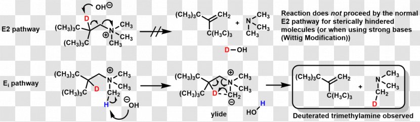 Ei Mechanism Elimination Reaction Hofmann Organic Chemistry Alkene - Watercolor - Silhouette Transparent PNG