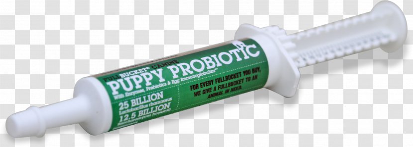 Dog Puppy Probiotic Veterinarian Prebiotic - Gastrointestinal Tract Transparent PNG