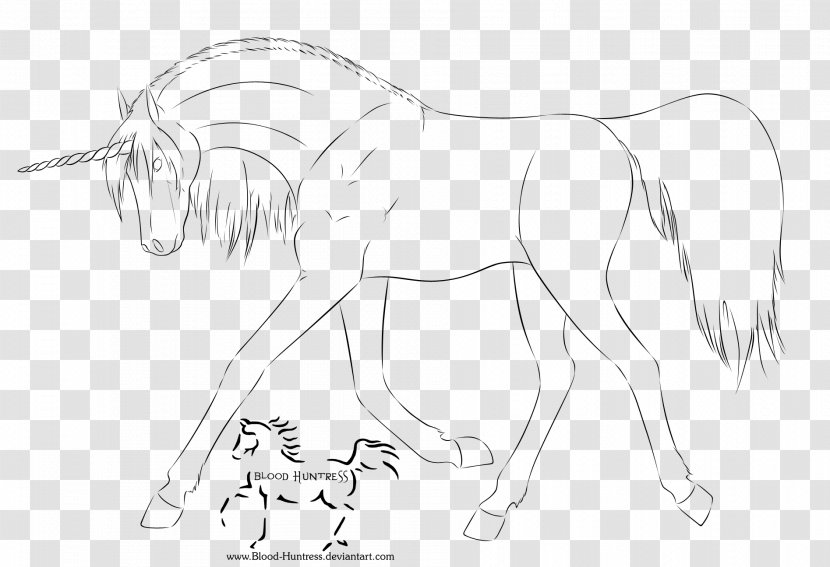 Line Art Horse Mane Drawing - Tail Transparent PNG