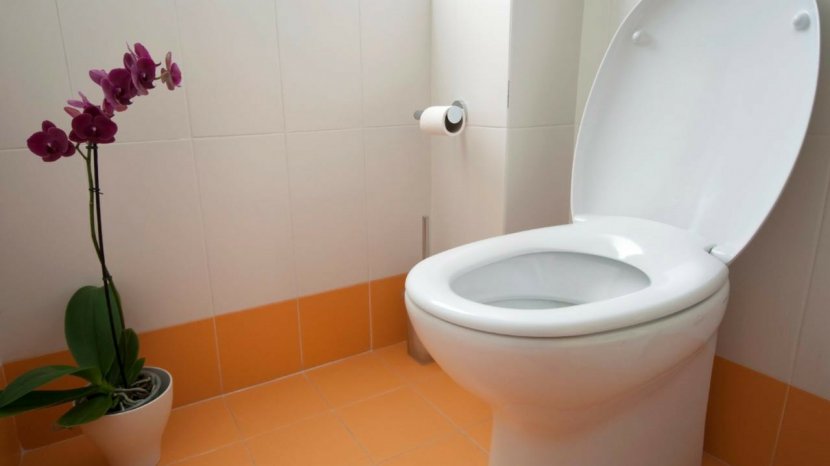 Toilet & Bidet Seats Bathroom Toto Ltd. - Property Transparent PNG