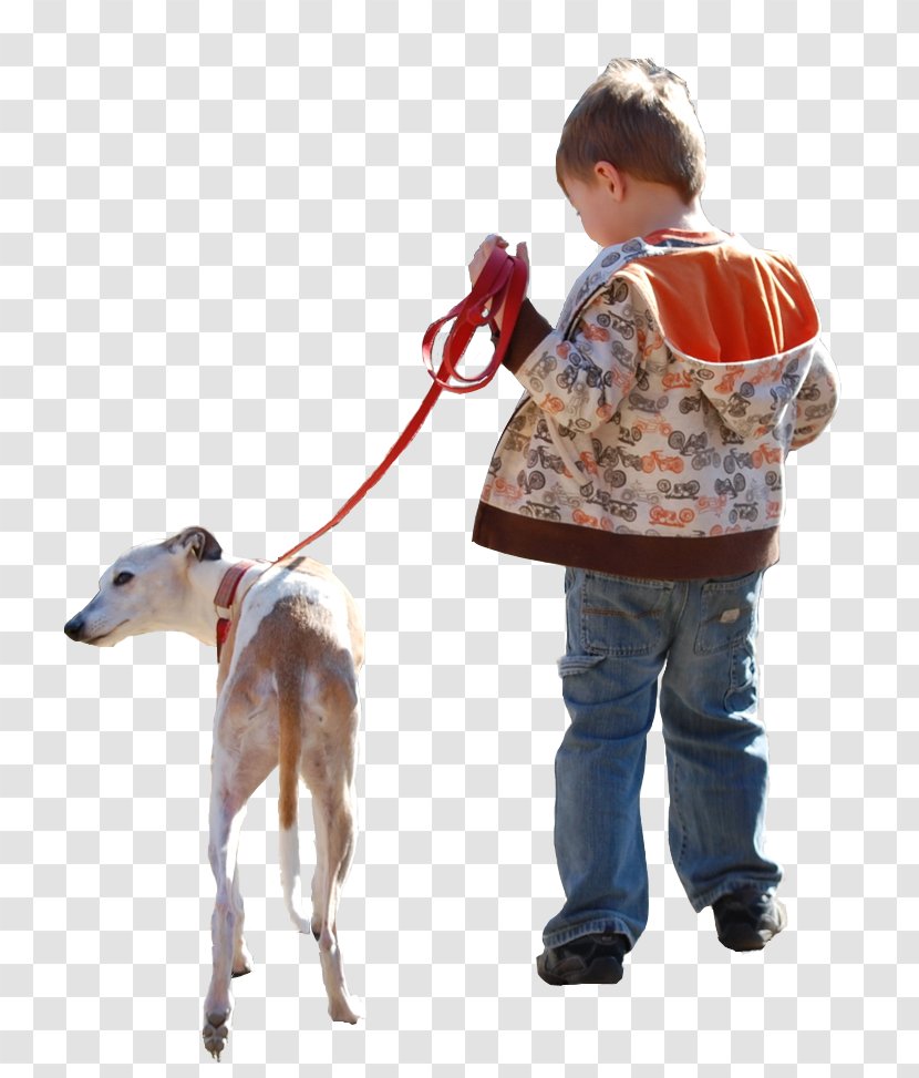 Architectural Rendering Architecture Dog Child Transparent PNG