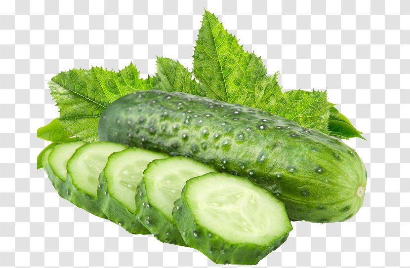 Cucumber Vegetable Muskmelon Fruit - Melon - Pattern Transparent PNG
