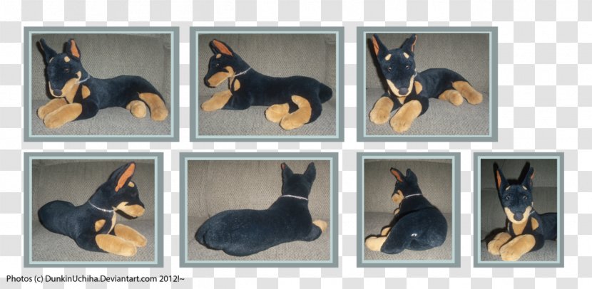 Dog Breed Puppy Pet Canidae - Animal - Doberman Transparent PNG