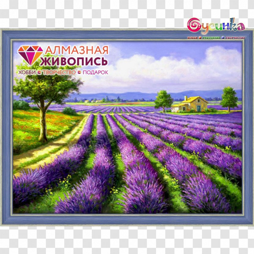 Oil Painting English Lavender Landscape Art - Purple Transparent PNG