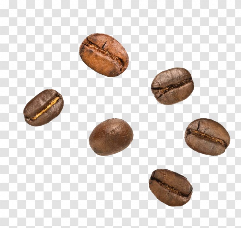 Cocoa Bean Coffee Nut Theobroma Cacao - Tree Allergy - Beans Transparent PNG