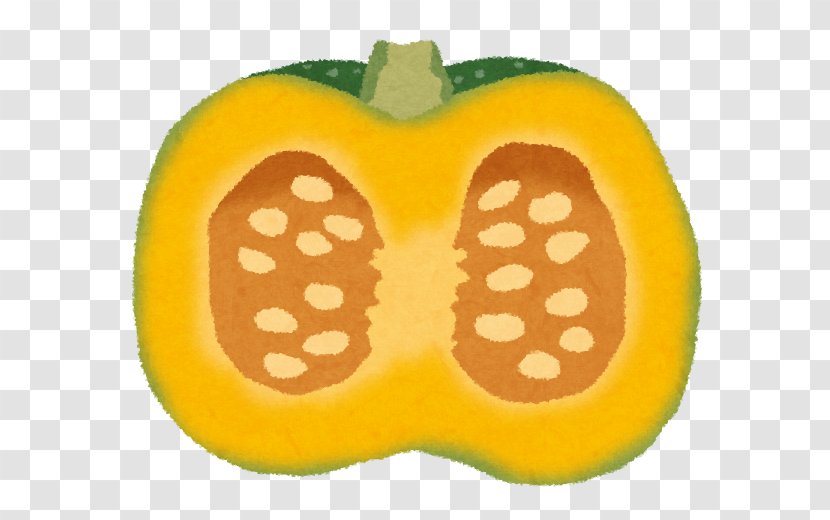 Pumpkin Winter Squash Food Folate Nutrient - Pregnancy Transparent PNG